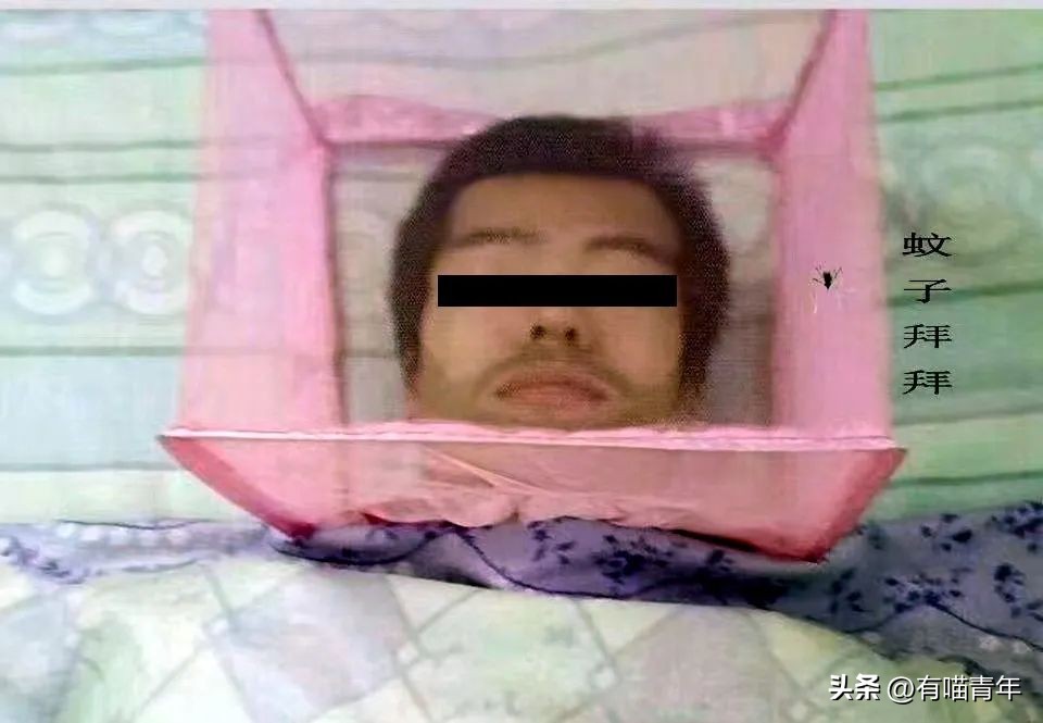 养猫有什么办法驱蚊子,养猫不可以用蚊香怎么驱蚊