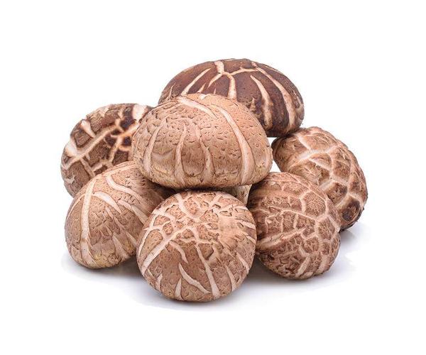 香菇的营养价值及功效与作用禁忌,香菇中哪种香菇的质量最佳