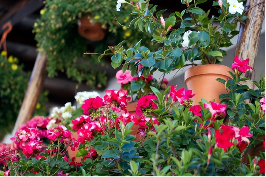 77岁梅尼埃患者拒绝站立竟是因为“摔怕了”