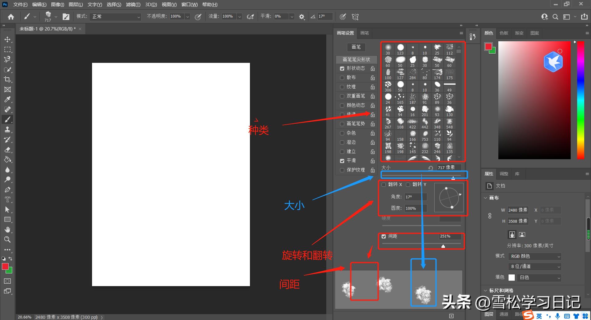 ps基础教程新手入门调整画笔大小,ps基础教程用钢笔绘画