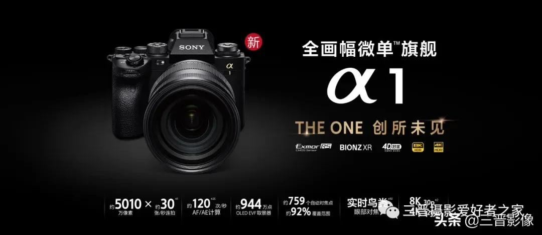 照相机的型号越来越多，如果拍鸟的话，有哪些型号值得考虑