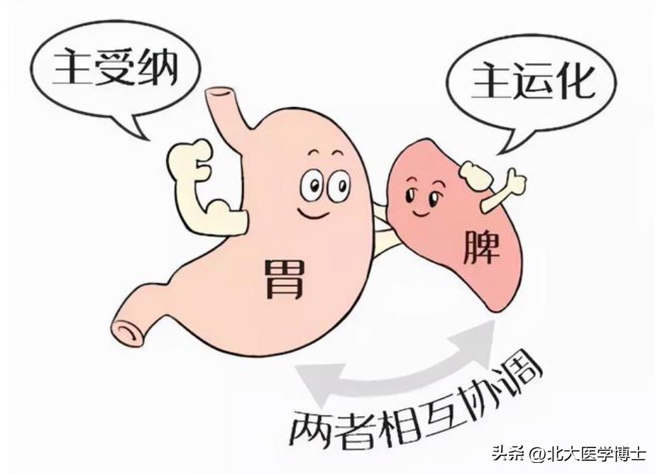 痛风是由湿热下注引起的吗,痛风的病根在肾还是脾胃