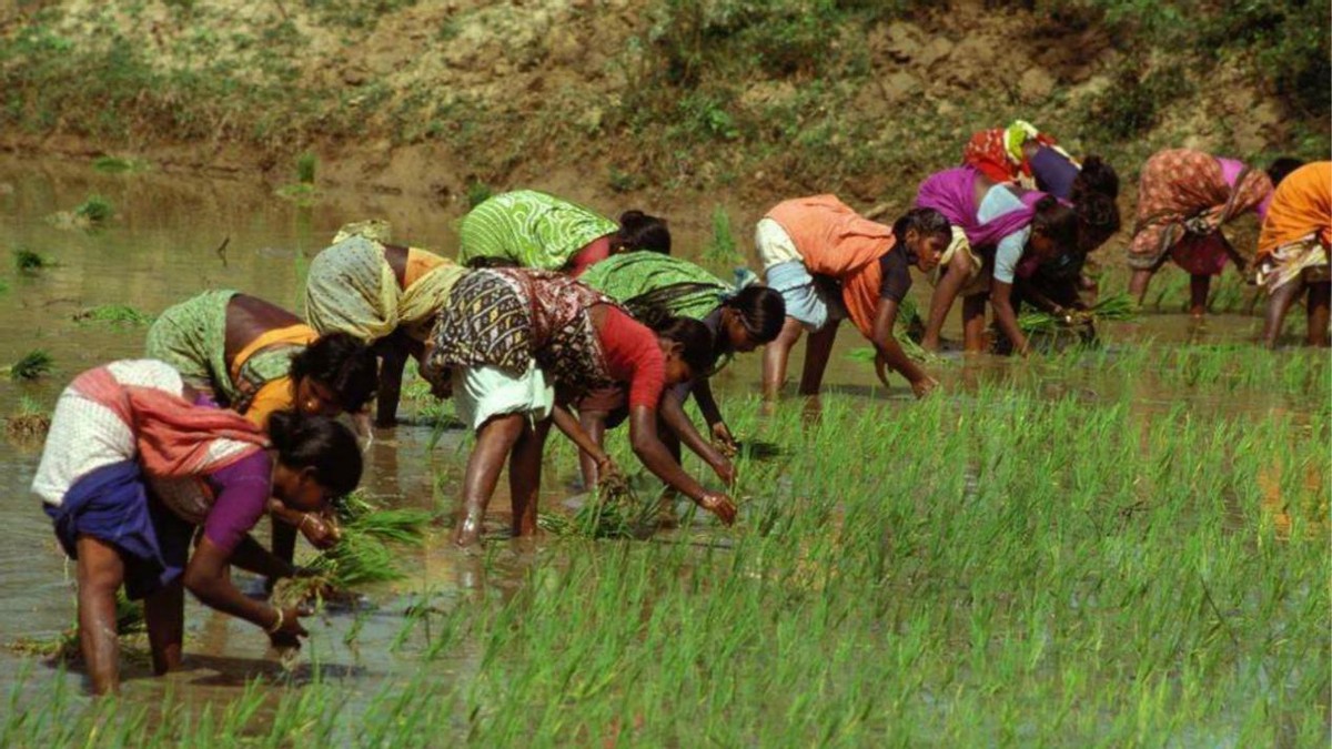 俄罗斯为啥都是平原气候,俄罗斯气候变化现状