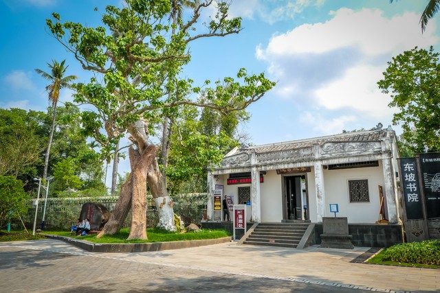 中国黄花梨第一村,海南最大的黄花梨加工基地在哪里