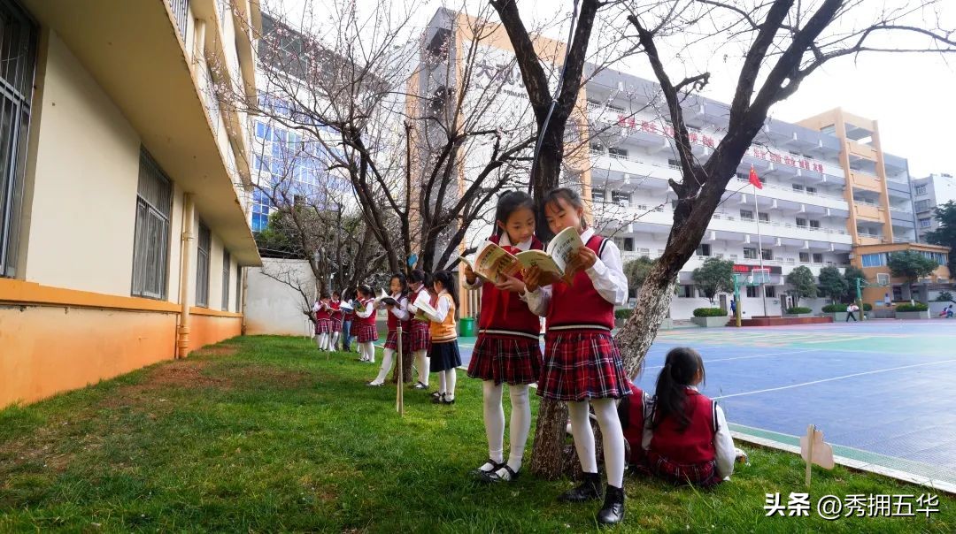 把春天装进校园里作文,把春天装进眼里