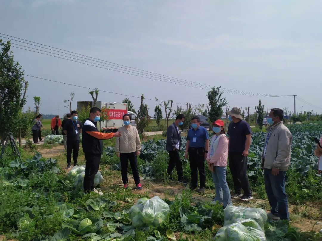 谱写供销合作社乡村振兴新篇章,持续深化供销合作社