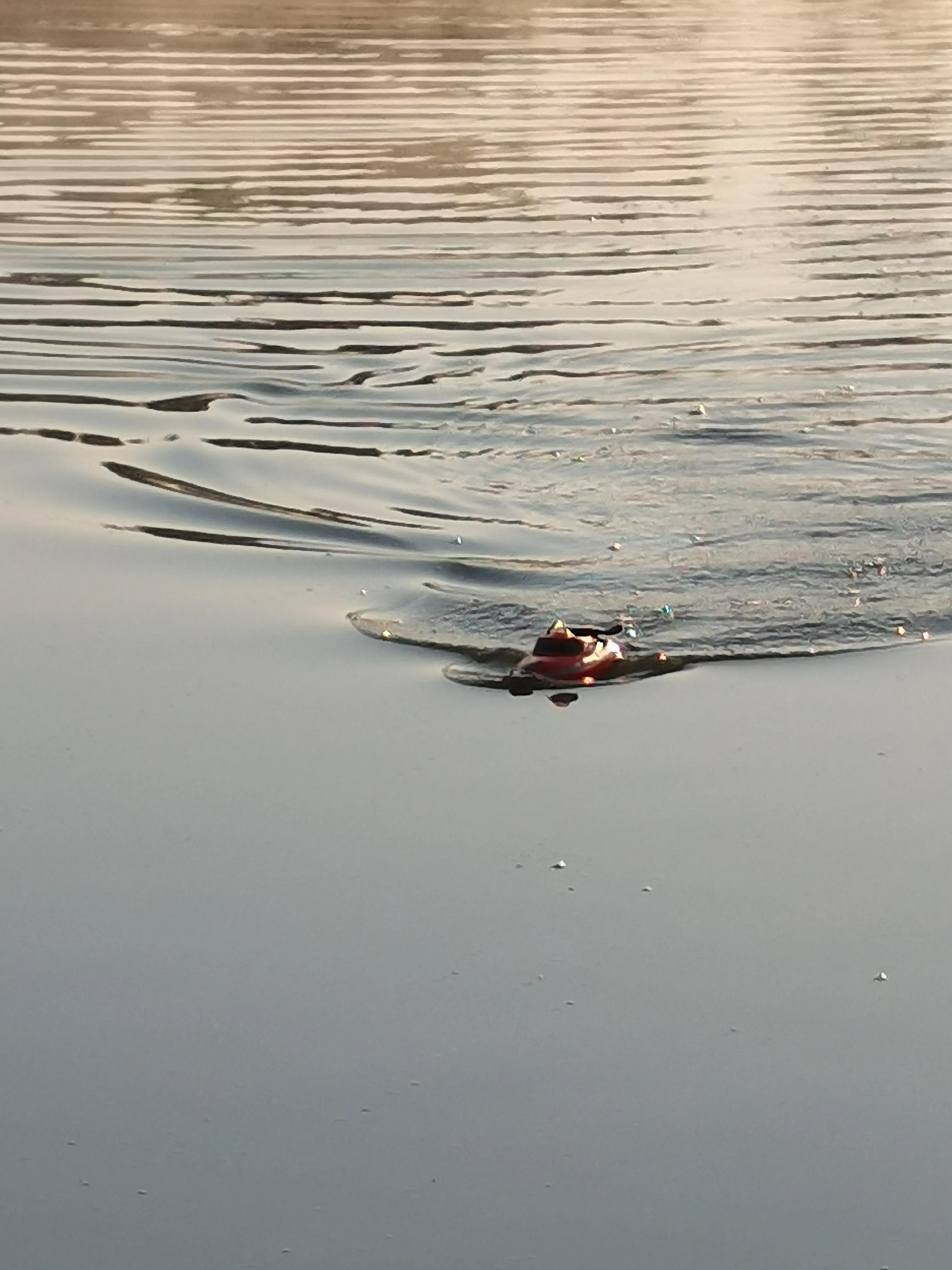 手拍世界手机摄影平台,手拍世界摄影网