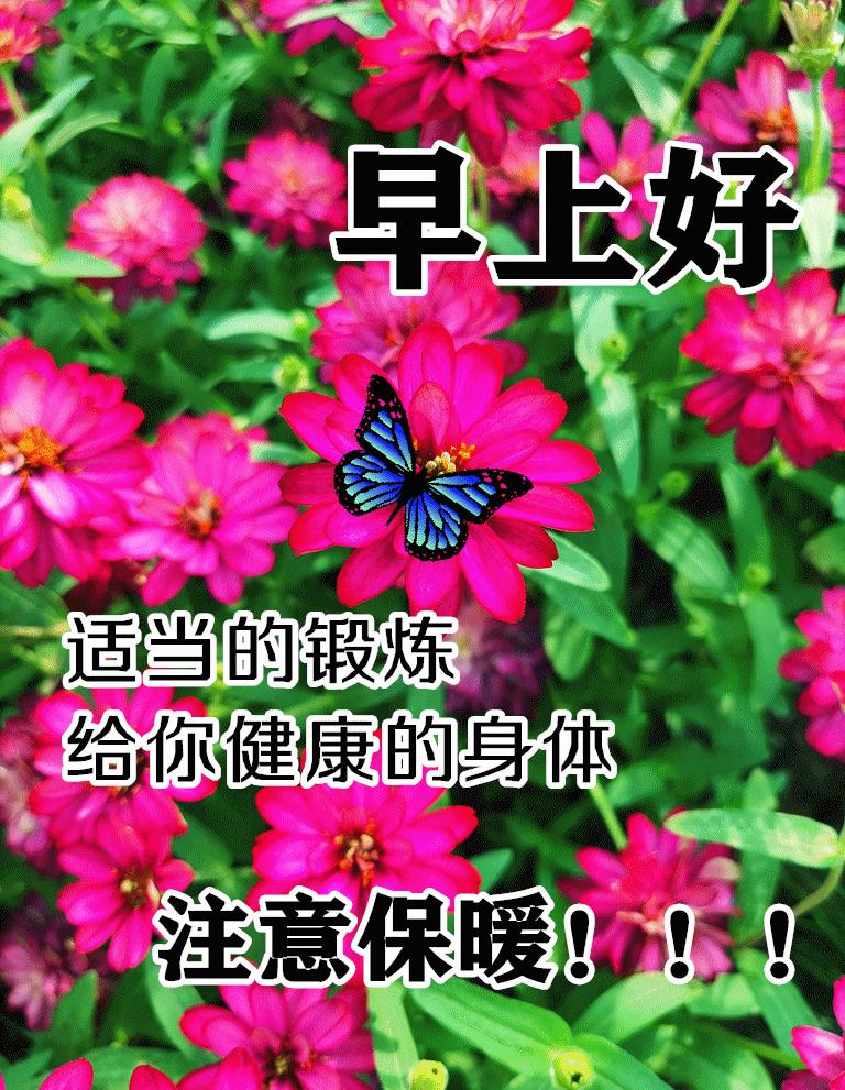 早晨阳光表情图片,秋季清晨非常漂亮早上好表情图片