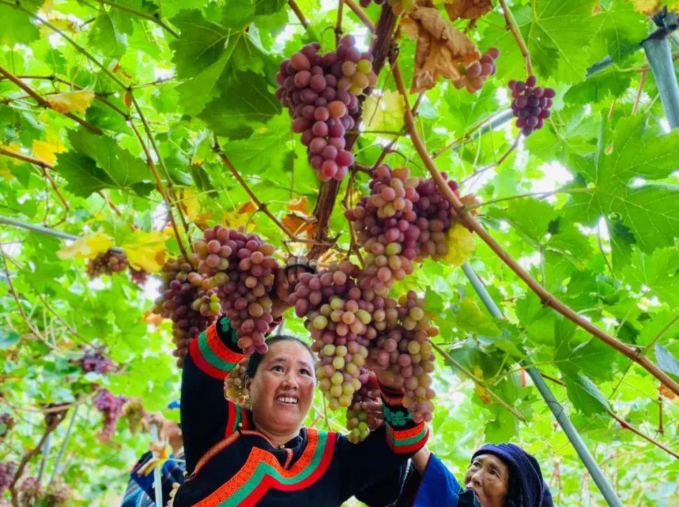 昭觉美姑,美姑路况