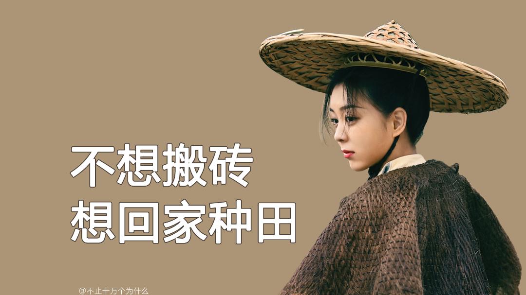 电脑壁纸|《唐朝诡事录》你刻苦我刻苦，老板年底换路虎