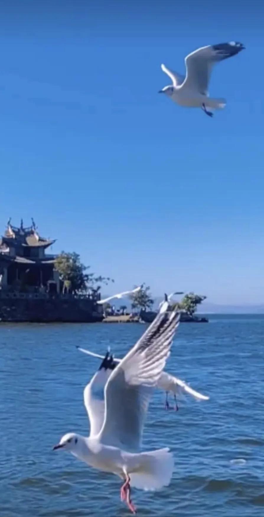 目前云南昭通有多少作家,昭通十大作家