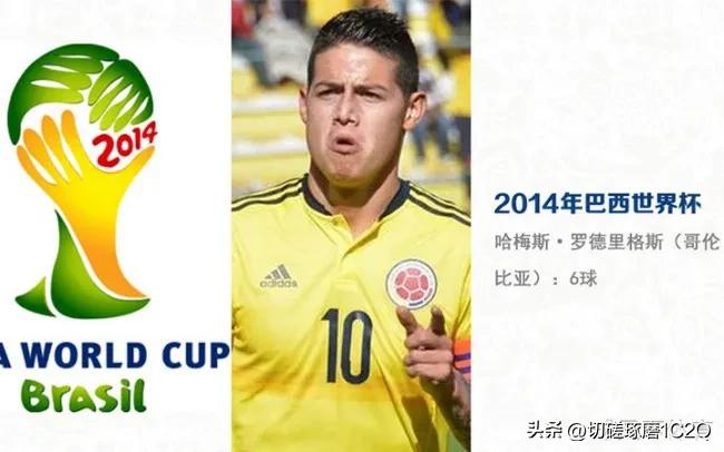 历届男子世界杯,历届女子世界杯的冠亚军