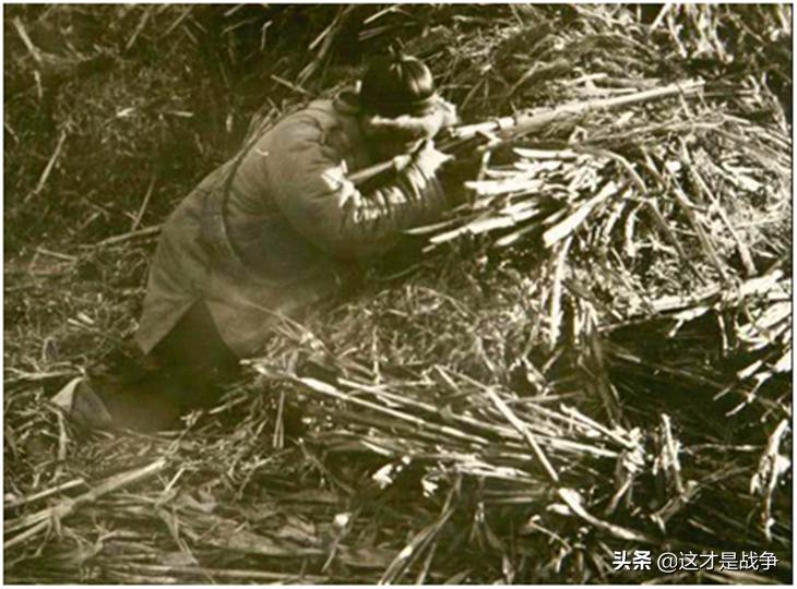 张作霖是东北第一土匪吗,张作霖原来是土匪吗