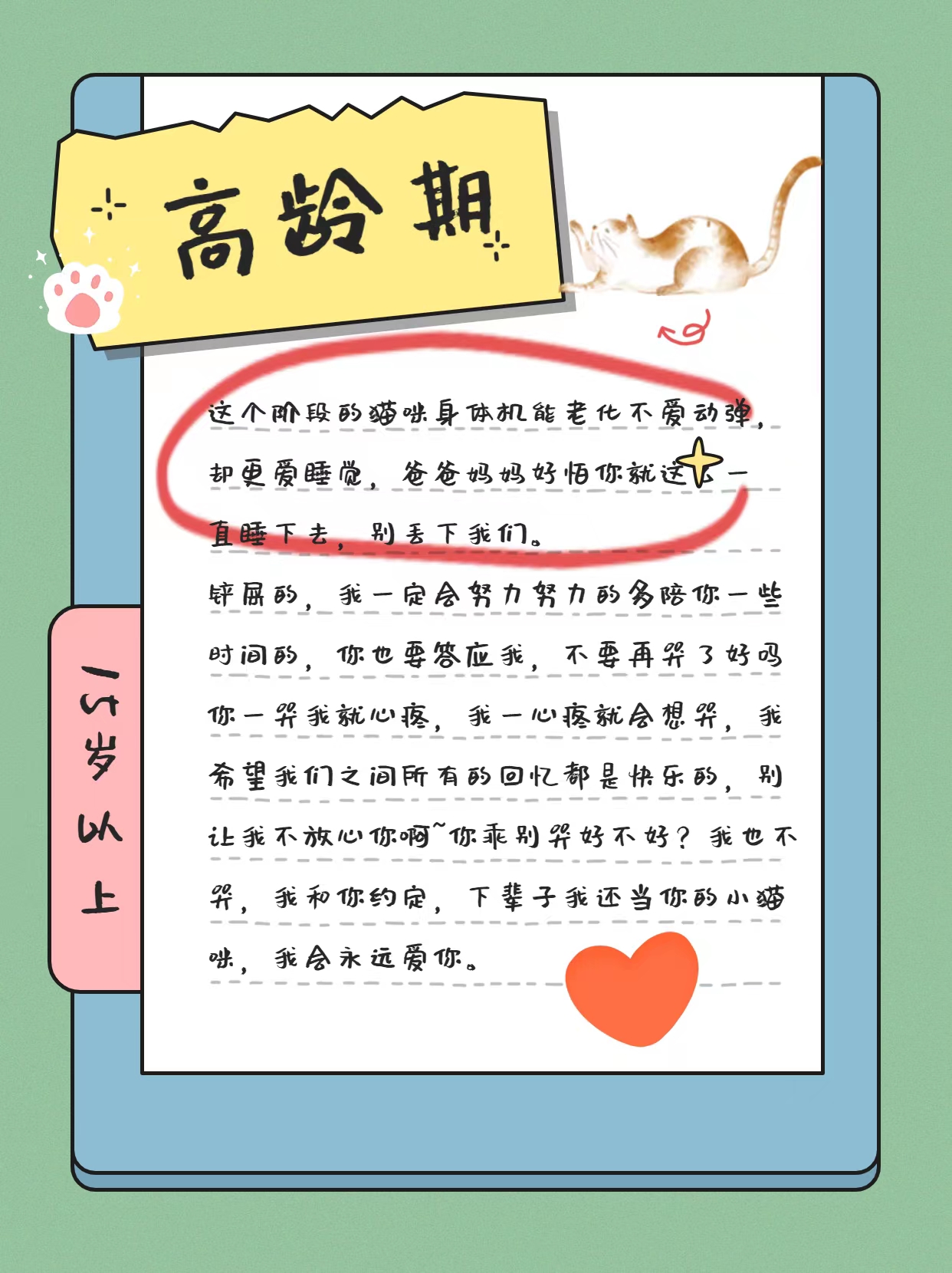 猫的一生详细讲解,猫的一生在想什么