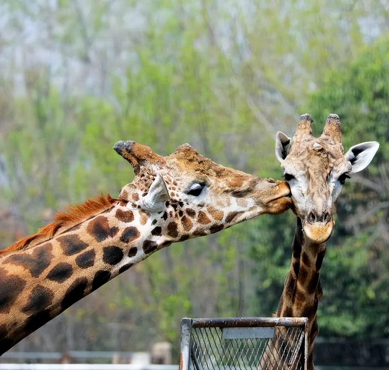 西安旅游攻略详细学生,学生西安旅游攻略最新