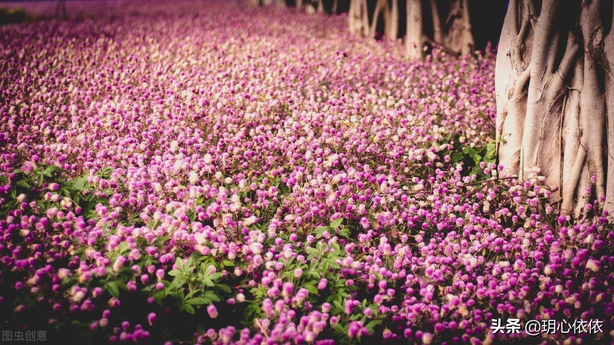 这些星座把自己活成财神爷，内心强大能力出众，心如真金光耀众生