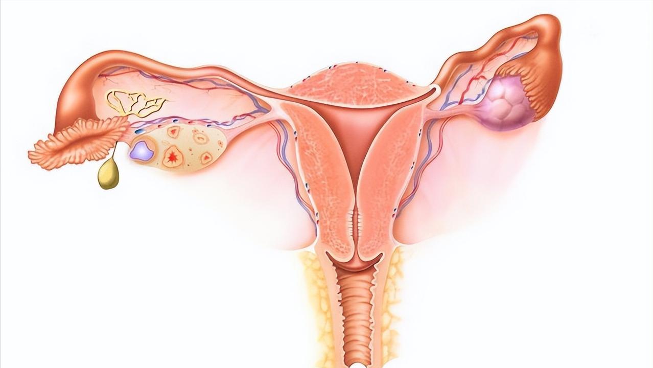 体检发现的几种疾病根本不用治,体检发现4种病不用治疗