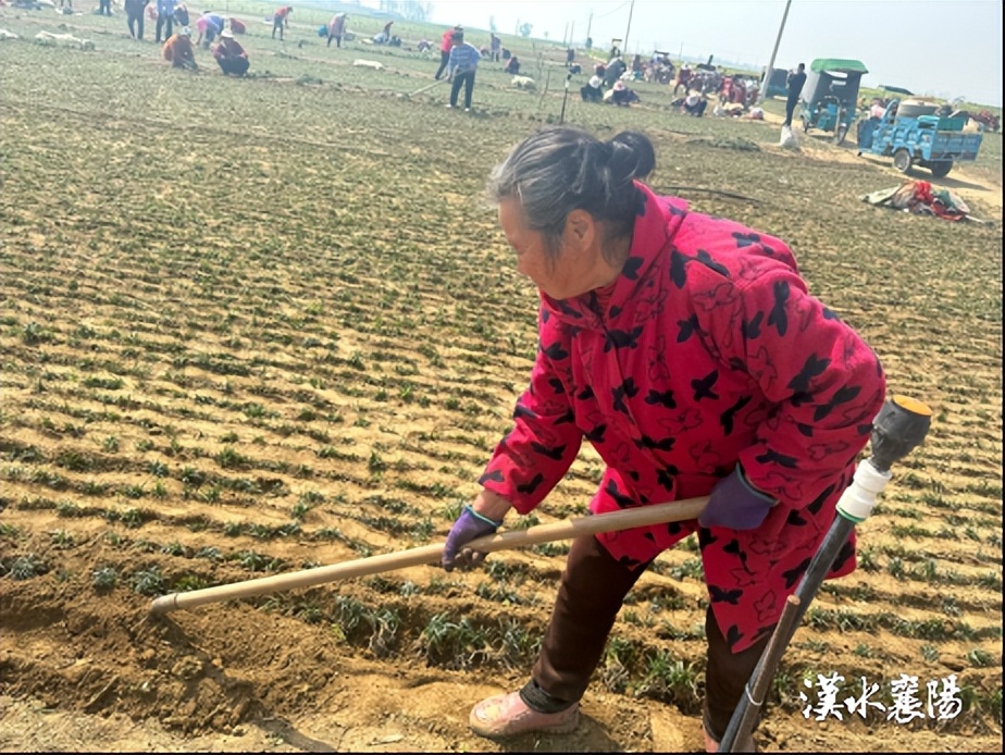 一个乡镇投资10个亿的项目,乡镇投资3个亿的项目