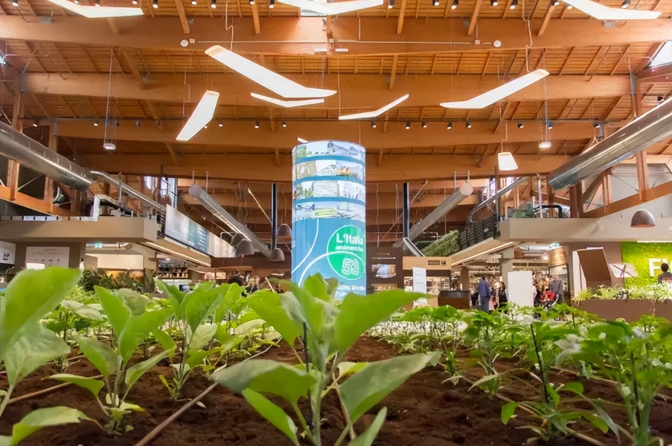 迪士尼乐园二合一美食,世界十大迪士尼乐园美食