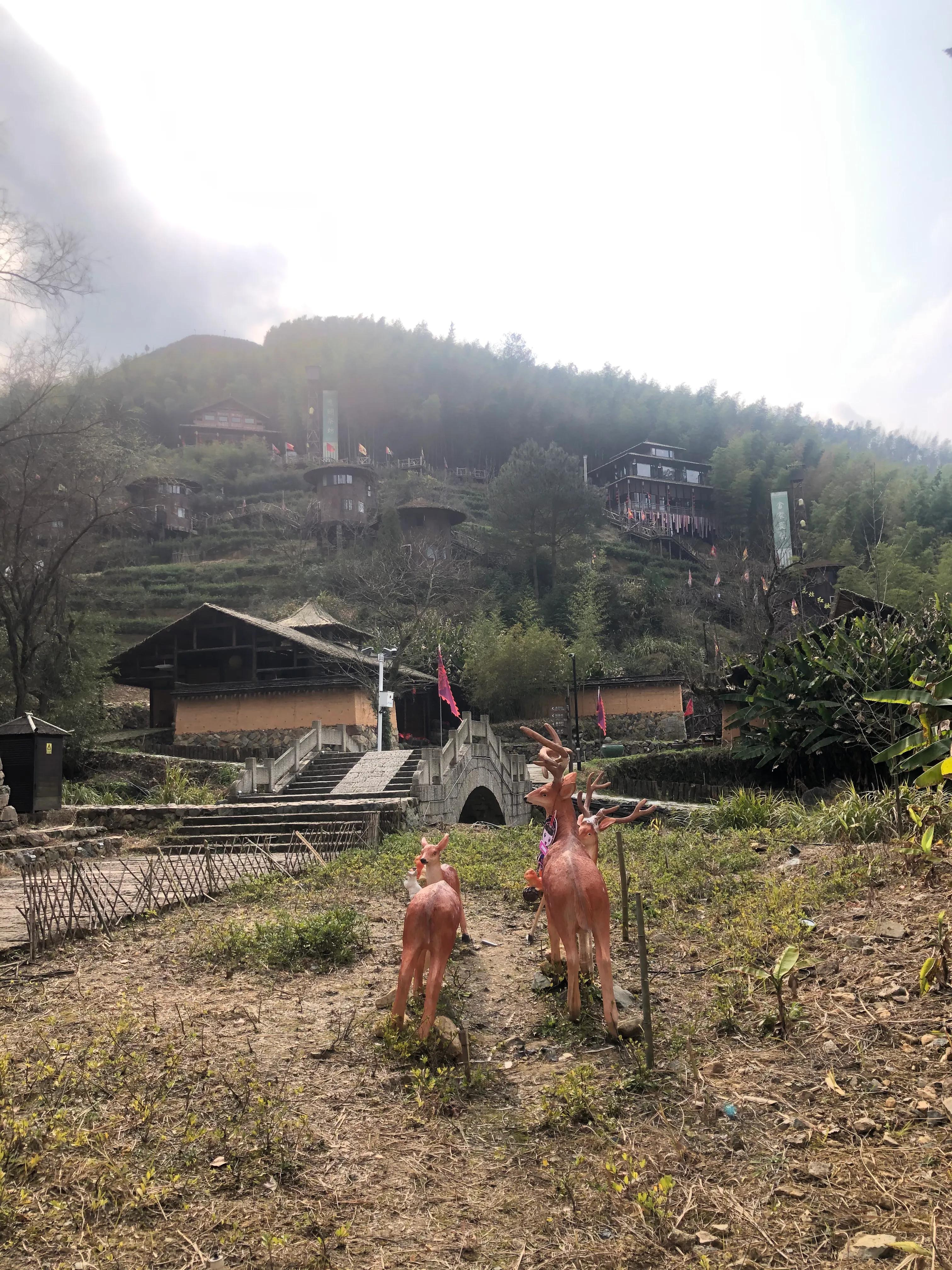 畲寨东弄田园综合体团购,畲寨东弄田园综合体好玩吗