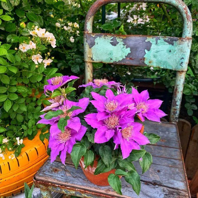 两家共用一个平台怎么解决,两家共用一堵墙发生矛盾怎么处理