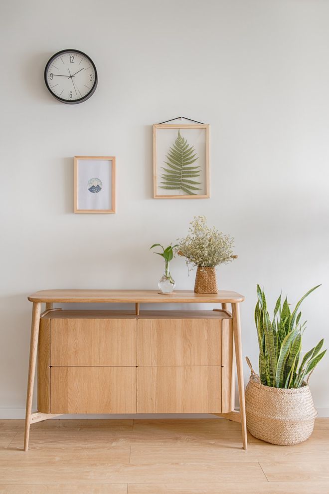 什么植物除甲醛最快最有效,什么植物除甲醛最快最有效又便宜