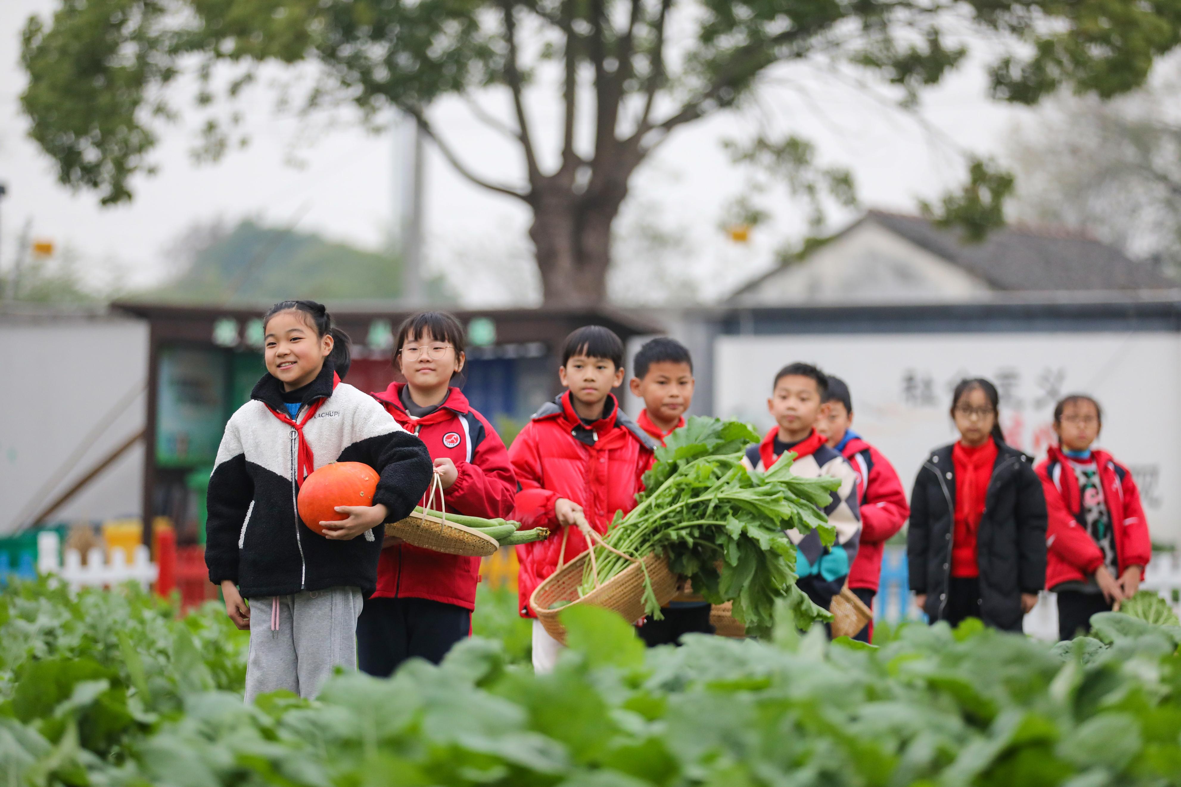 校园农场景观,小学生农场实践活动美篇