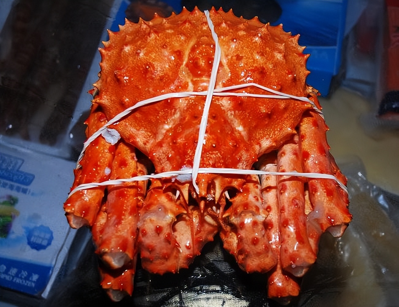 帝王蟹泛滥成灾入侵南极,巨型帝王蟹入侵