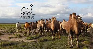 新媒体平台起号指南内容篇,新媒体起号会遇到的问题