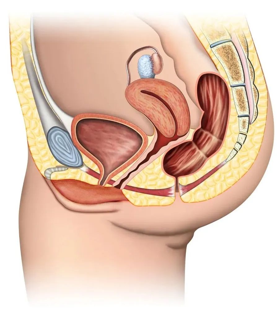 水上乐园妇科病,有妇科病能去水上乐园玩吗