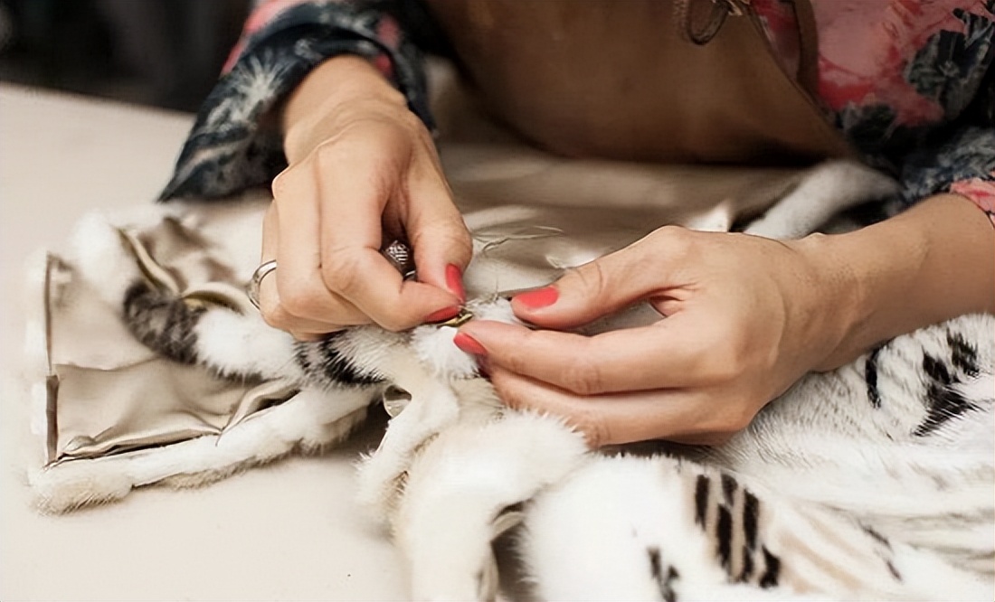 水貂养殖新技术,水貂皮草的养殖方法与技术