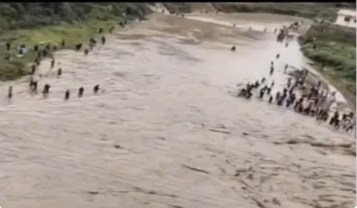 水火无情人有情视频,水火无情人有情湖北