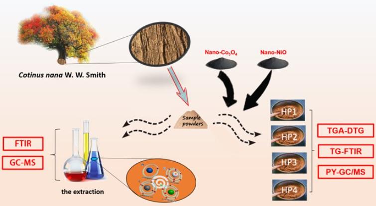 通过热重仪解构CNB树皮，是否能高效率转化为高能量密度液体燃料