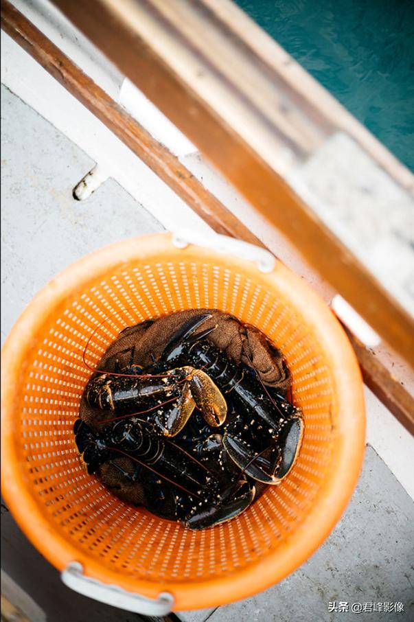 一部很经典的奥斯卡电影,这部仅有8分钟的奥斯卡最佳短片