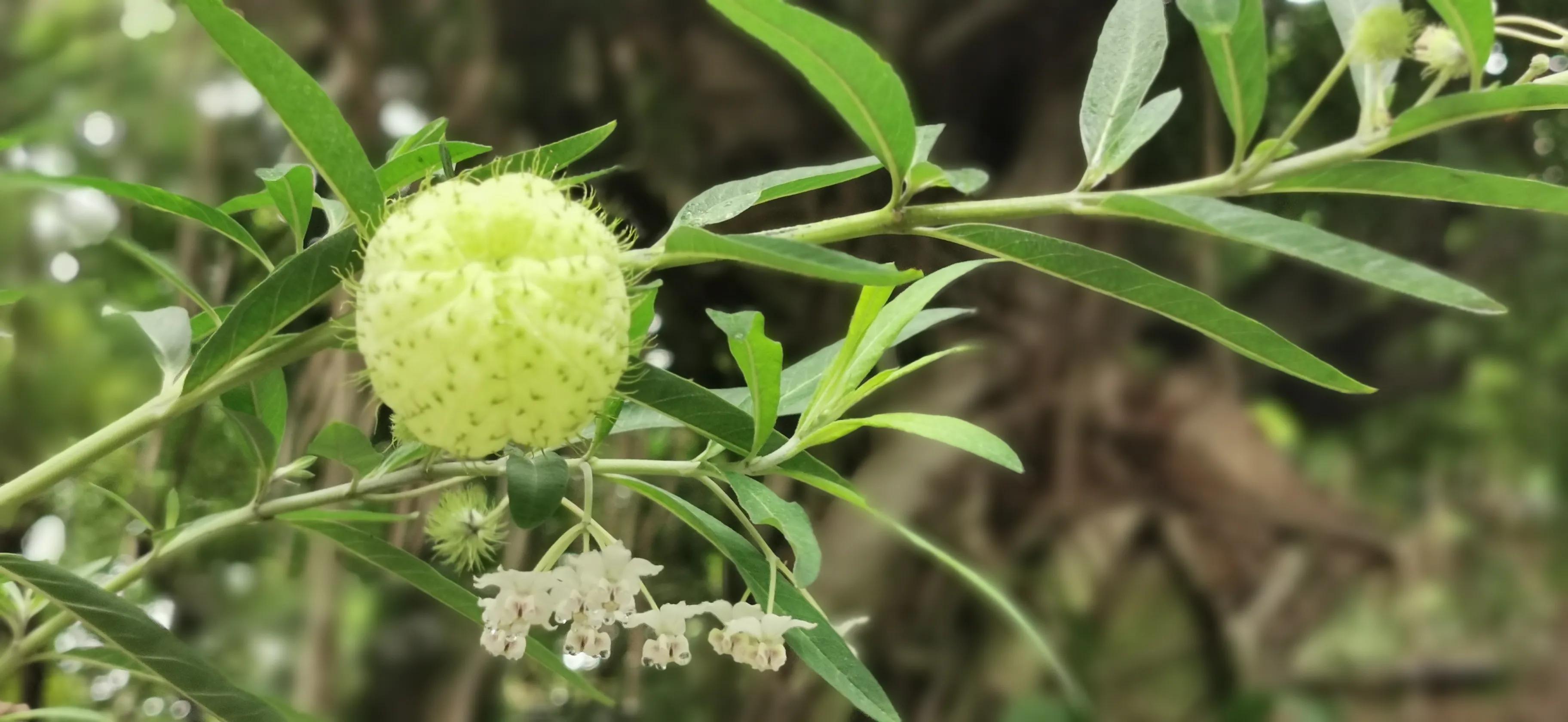 两人自驾装备,两人一车带什么装备