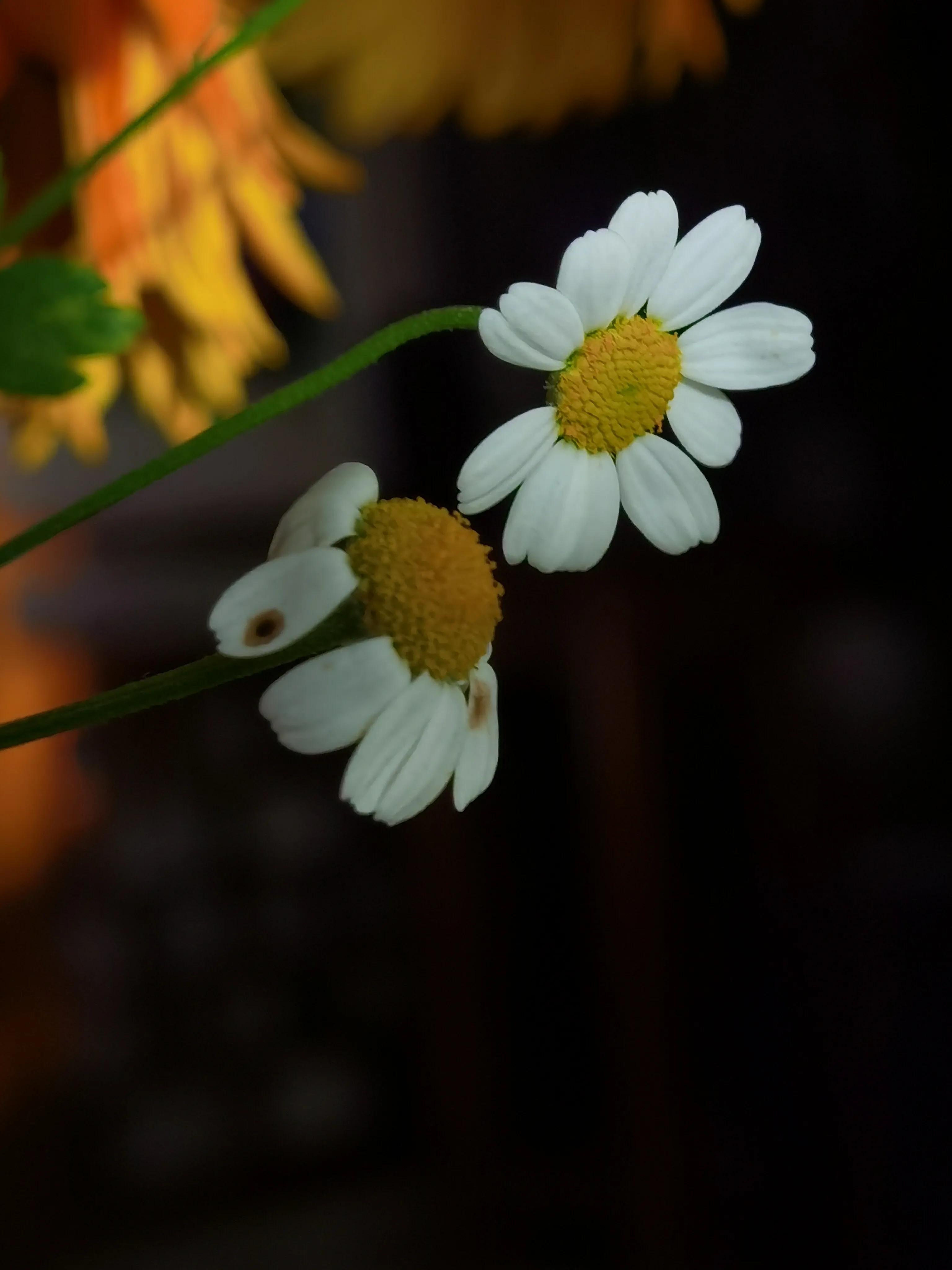 手拍世界手机摄影平台,手拍世界摄影网