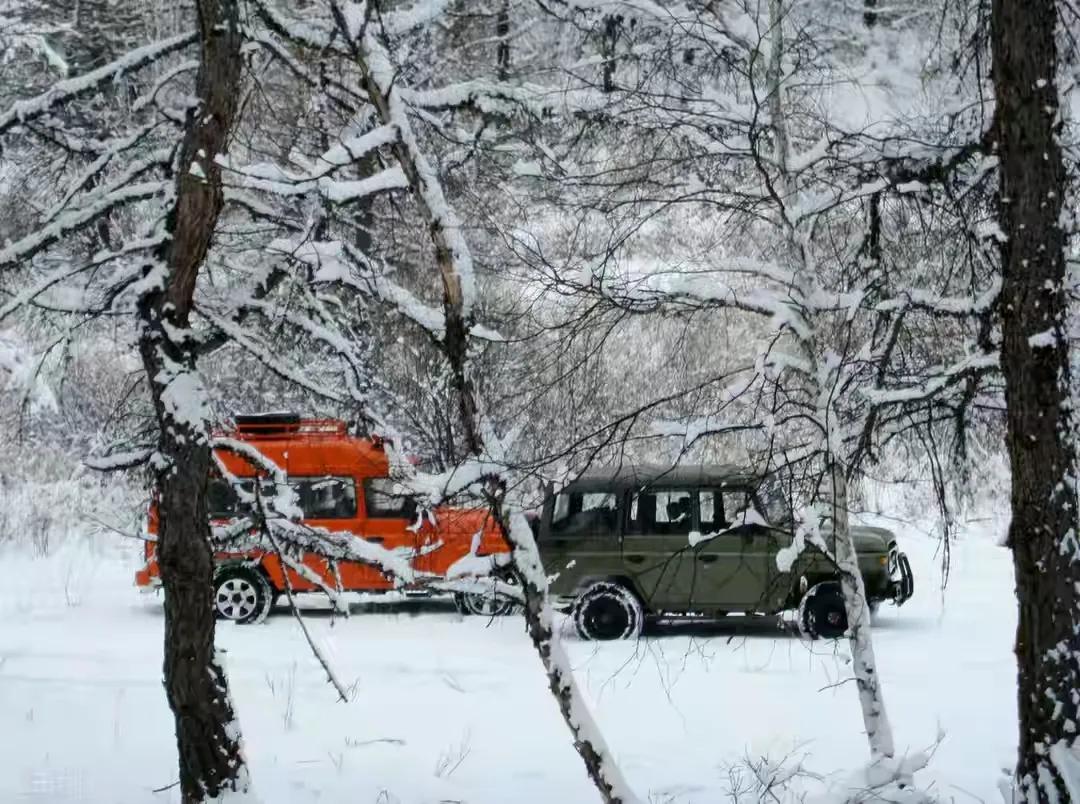 今年冬天南方会冷吗最新天气预报,天气预报冬天来了
