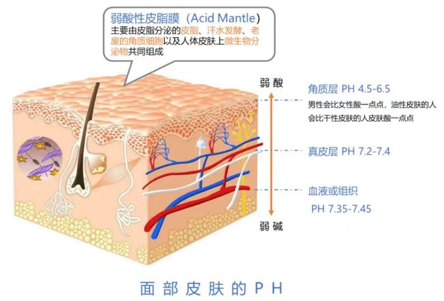 洗面奶测评良心,200支洗面奶测评