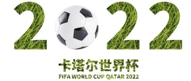 从卡塔尔世界杯看大学专业,从卡塔尔世界杯看中国经济