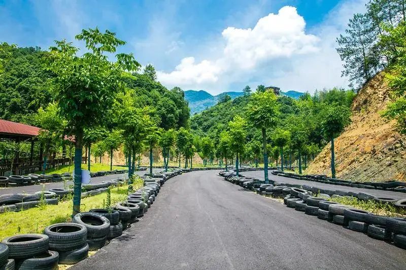 到咸宁看国宝过大年,离家45年的国宝回湖北咸宁过年