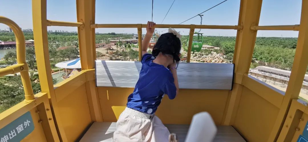 欧乐堡海洋极地公园攻略,欧乐堡最全游玩攻略请收好