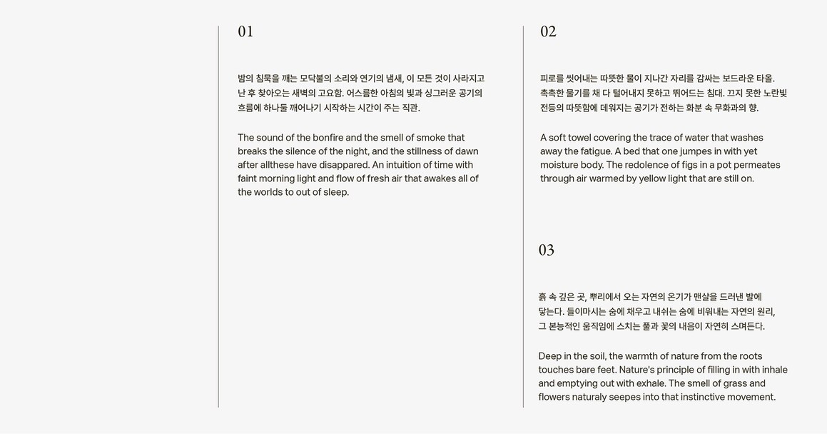 品牌logo包装设计插画,羽翼包装logo设计