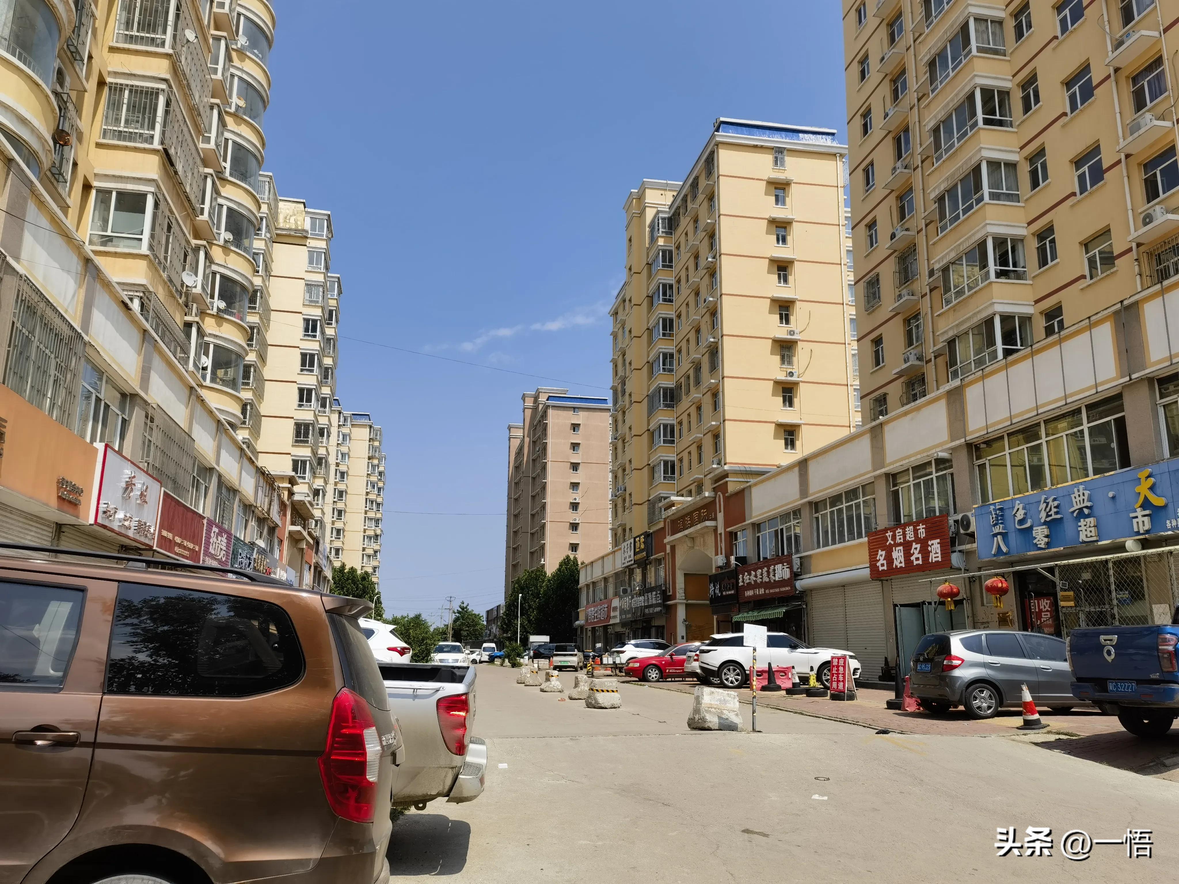 2023上海到秦皇岛承德十日游第四天：看阿那亚的海，逢犬舍的安娜