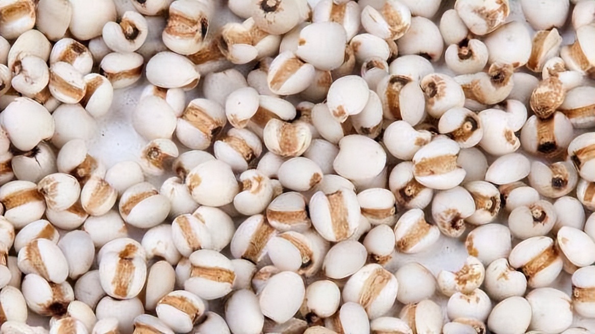 大米和玉米哪个当主食好可以减肥,减肥期间能不能把山芋和玉米吃饱