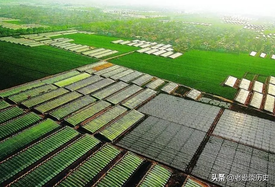 潍坊市郑金兰受贿案,郑金兰获刑