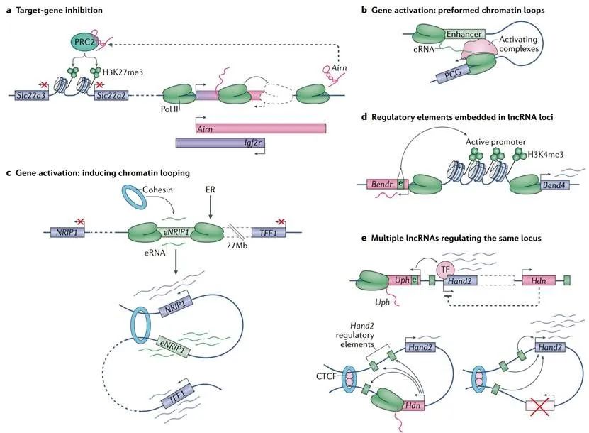 nature最新论文,nature论文最新发现