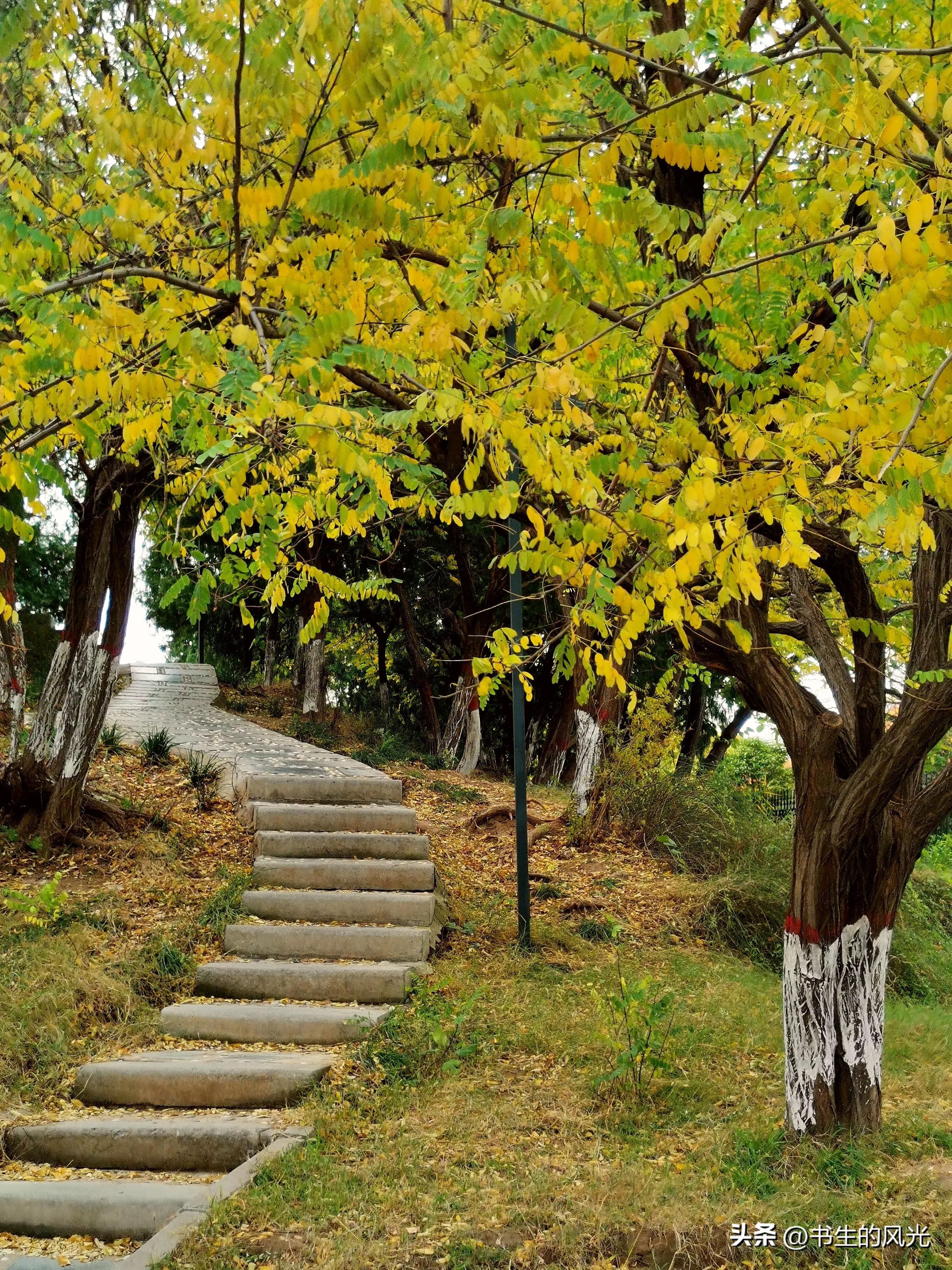 为什么戒烟老是去找打火机,戒烟后还有打火机吗