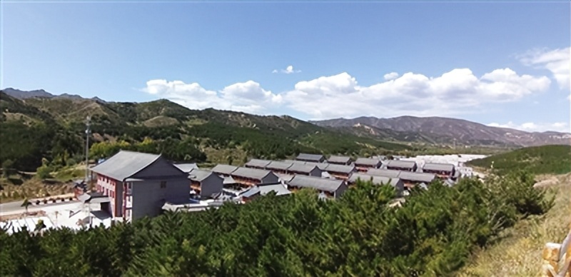 “杏福树下”的幸福生活——回民区大力发展农文旅产业助力乡村振兴