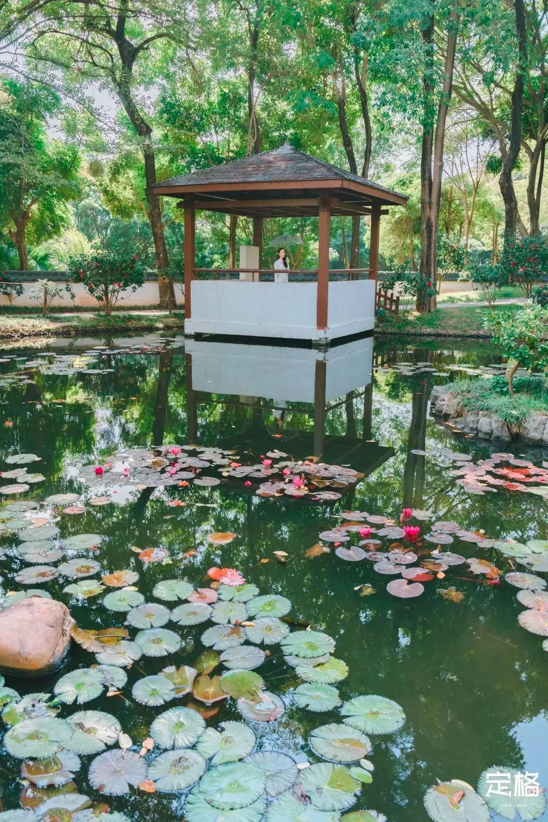 深圳1号线有什么好玩的景点,深圳1号线好玩的地方室内