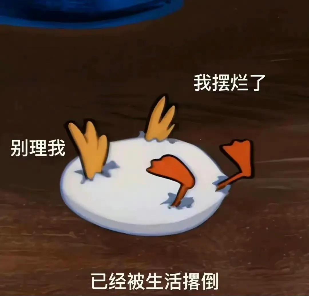 公务员合同制和事业编制,公务员和事业编和合同编区别